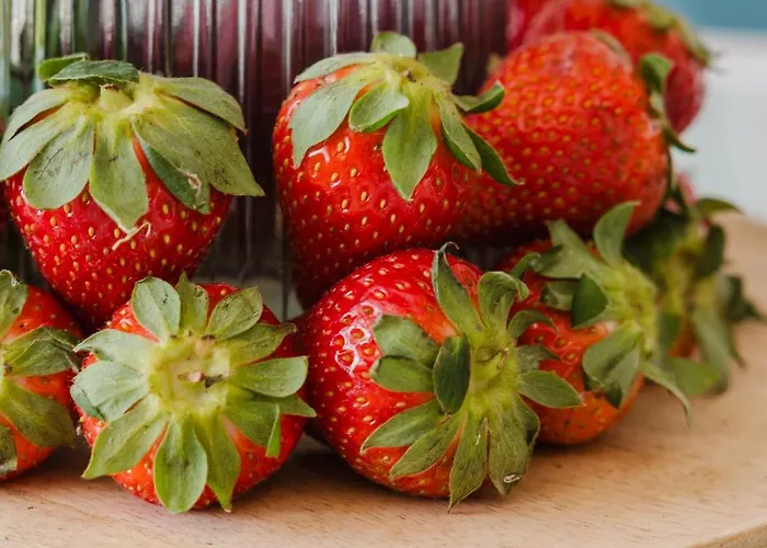 Fl9 Thelodge-sea View W Huge Terrace By Homely